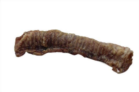 Lamb Trachea